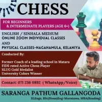 Efim Geller Chess Academy - Online and Physical Classes