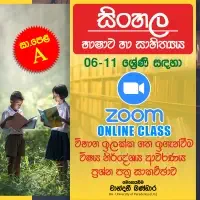 6 - 11 ශ්‍රේණි සඳහා සිංහල භාෂාව හා සාහිත්‍යය (Online)