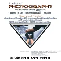 Basics of Photography