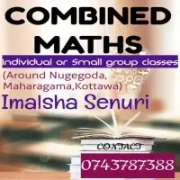 Combined Maths - Individual / Small Group Classes