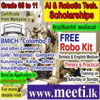 Robotic Scholarship Program
