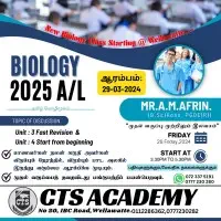 CTS Academy - Colombomt2