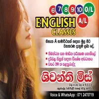 English Classes Grade 1 to Advanced Levelmt3