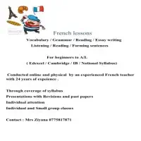 French Classes - Edexcel / Cambridge / IB / National syllabus