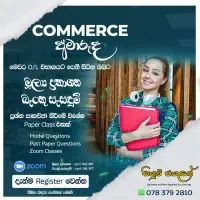 O/L Commerce (Sinhala medium) - Small Group Classes