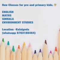 English, Maths, Sinhala, ENV Classes