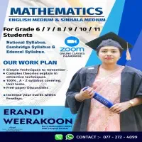 Online Mathematics Tutor