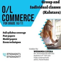 O/L Commerce - Grade 10/11 - Individual / Group Classes