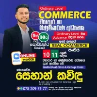 Ordinary Level Commerce - Business and Accounting Studies