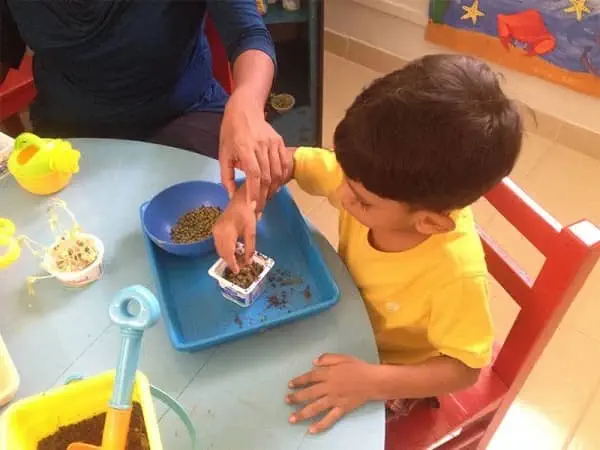 The ACE Montessori and Daycare - කොළඹ 6m1