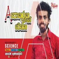 6-11 அறிவியல் - கோட்பாடு, திருத்தம், தாள் வகுப்புகள்