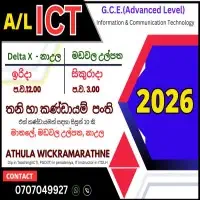 A/L ICT Individual and group classesmt2