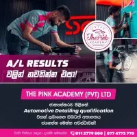 The Pink Academy - கோட்டை