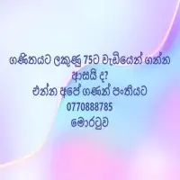 கணிதம் தரம் 6-11 தனிப்பட்ட / குழு / வீட்டு வருகை வகுப்புகள்