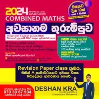 සංයුක්ත ගණිතය - සිද්ධාන්ත, පුණරීක්ෂන පන්ති