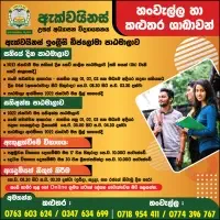 Aquinas College of Higher Studiesmt3