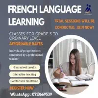 French Language Classes - Onlinemt2