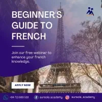 French Language Classes - Onlinemt3