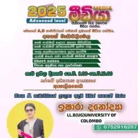 AL Media Sinhala medium