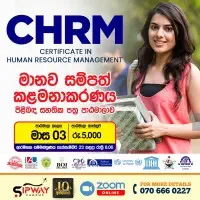 Certificate / Diploma in HRM - Human Resource Managementmt2