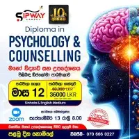 Diploma in Psychology and Counselling - Online Coursemt2