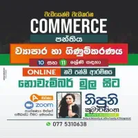 Online Commerce Class - Grade 10/11 Business and Accounting Studies