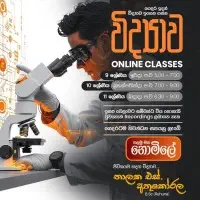 Science Online and Physical Classes - Grades 9, 10, 11