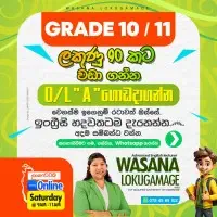 Grade 1 to Grade 11 English Classes