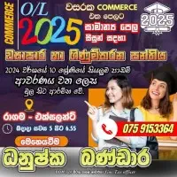 O/L Commerce Tuition - Business and Accounting Studies