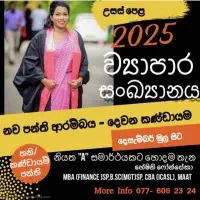Advanced Level Business Statistics Tuition