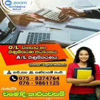 Tuition Classes - A/L Accounting