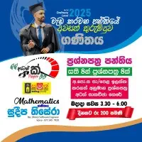 O/L Mathematics - Paper and Theory Classes