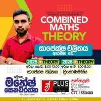 Combined Maths - Theory, Revision, Paper Classesmt2