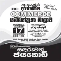 O/L Commerce and A/L Accounting Tuition Classesmt2