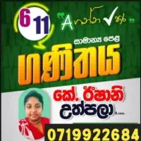 தரம் 6-11 சா/த கணிதம் வகுப்புக்களை