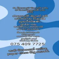 Mathematics Individual or Group Classes