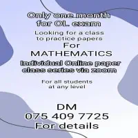 Mathematics Individual or Group Classesmt2