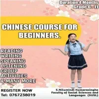 Chinese course for beginners