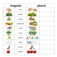 ඉංග්‍රීසි පන්ති තිබේ
