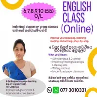 Grade 6 - O/L English online classes