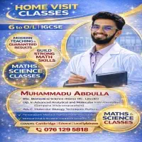 Home Visit / online Maths Class