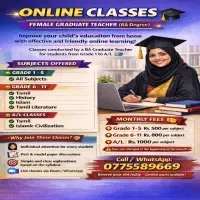 Online Classes - Female Graduate Teacher