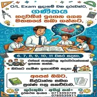 Mathematics 6, 7, 8, 9, 10, 11 grades