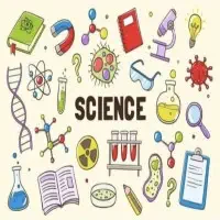 Science and maths teacher from grades 1-7