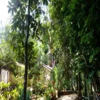 Kanduboda Meditation Centremt2