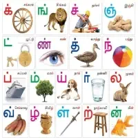 දෙමළ පන්ති - දේශීය සහ ජාත්‍යාන්තර විෂය නිර්දේශය