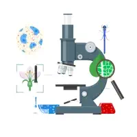 Subjects Taught: Mathematics and Science (Primary & Lower Secondary)