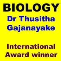 Profile ලන්ඩන් සාමාන්‍ය පෙළ, උසස් පෙළ පන්ති 2025 එඩෙක්සෙල් සහ කේම්බ්‍රිජ්