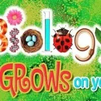 Profile Biology, Chemistry and Physics Tuition