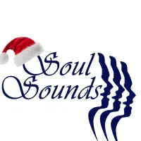 Profile The Soul Sounds Music Academy - கொழும்பு 05